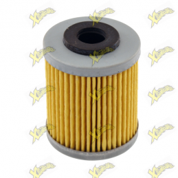 Filtro olio Ktm mono