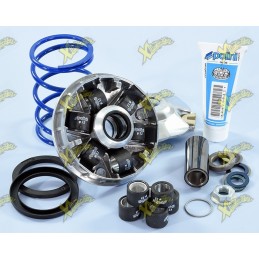 Polini Hi-Speed Variator...