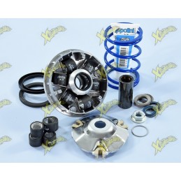 Polini Hi-Speed Variator...