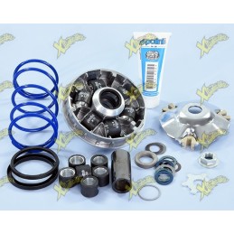 Polini Hi-Speed Variator...