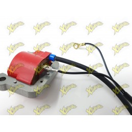 engine stop minimoto