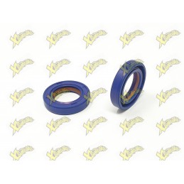 Minimoto oil seals 15x24x5 racing Polini