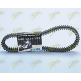 Polini variator belt for...