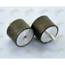 Anti-vibration mounts for...