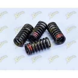 Polini Xp4 valve springs...