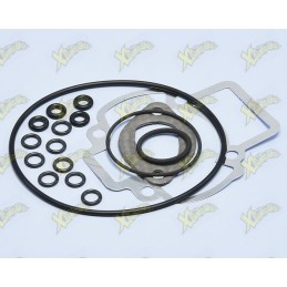 Polini gaskets series...