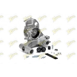 Malossi V-One crankcase...