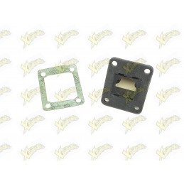 Zocchi minibike reed valve pack