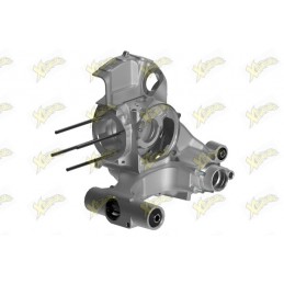 Malossi V-One crankcase...