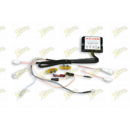Malossi Force Master 2...