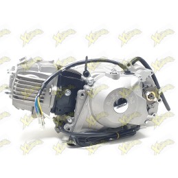 Ohvale 110 4S sealed engine...