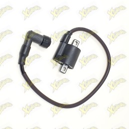 Ohvale coil Zs 160 and 110 4S 01.MO.0203.L