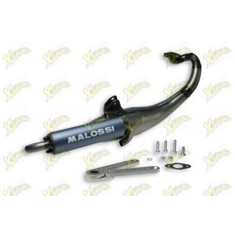 Malossi Flip exhaust...