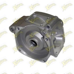 Engine carter 4,2 hp Polini...
