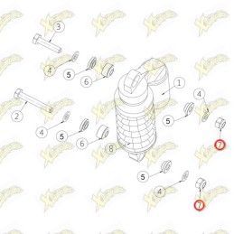 Nut M10 Ohvale for Gp-0...