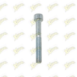 Vite Ohvale TCEI M6x45 160...