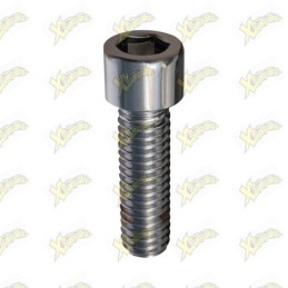 Vite Ohvale TCEI M8x14...