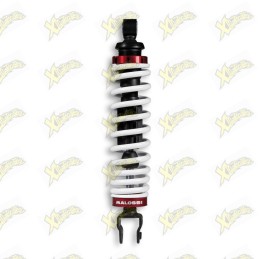 Malossi Rs1 rear shock...