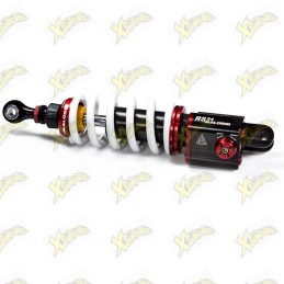 Malossi Rs24 4618360 rear...
