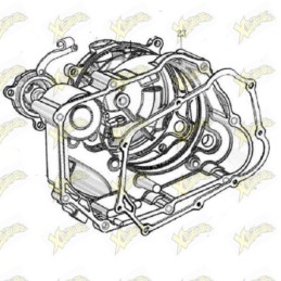 Coperchio frizione Ohvale...