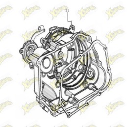 Cover frizione Ohvale 160...