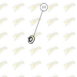 Base molla valvola Ohvale...