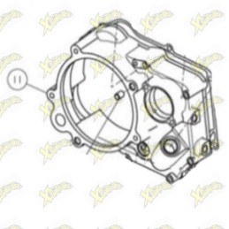 Coperchio frizione Ohvale...