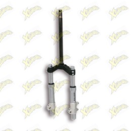 Malossi F37R fork 4616965B
