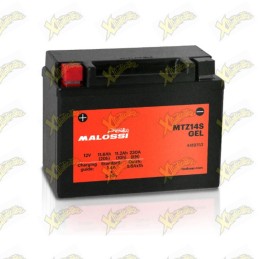 Batteria Malossi 4419753...