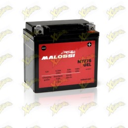 Malossi 4418924 MTZ7S Gel...