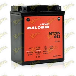 Malossi 4419168 MTZ8V Gel...