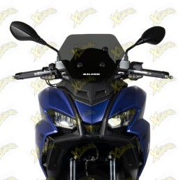 Malossi Sport screen for...