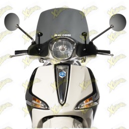 Malossi Sport windshield...