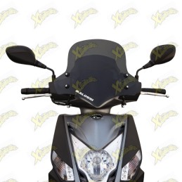 Malossi Sport windshield...