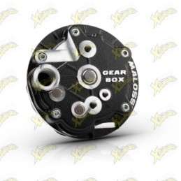 Gear box Malossi per mozzo...