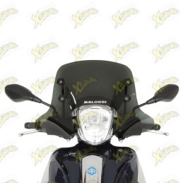 Malossi Sport windshield...