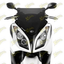 Malossi Sport windshield...