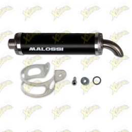 Malossi MHR silencer...