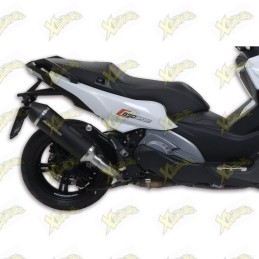 Silenziatore MAXI WILD LION...