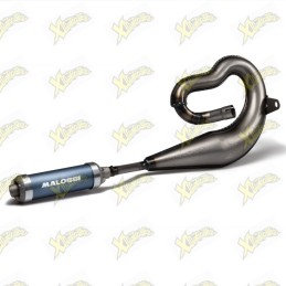 Malossi TOO BAD exhaust...