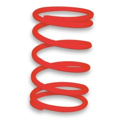 Malossi red variator...