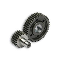 Malossi HTQ secondary gears...