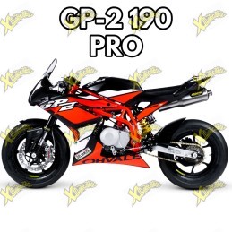 Ohvale gp-2 190cc 4t PRO 2026