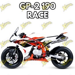 Ohvale gp-2 190cc 4t RACE 2026