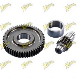 Polini secondary gear for...