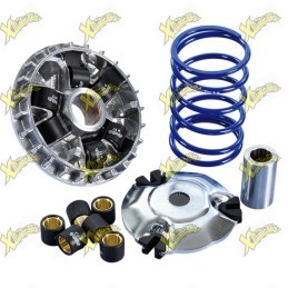 Polini Variator for Piaggio Medley and Vespa GTS 125 150 cc 241.771
