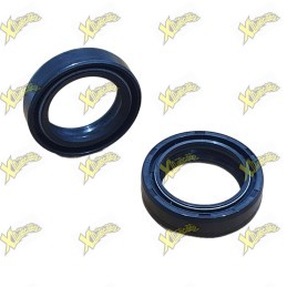 Seal Ohvale 33x46x11 for Gp-0 Gp-2 01.FA.0102.L