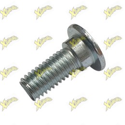 Ohvale Special fixing screw for brake disc 01.RA.0016.L
