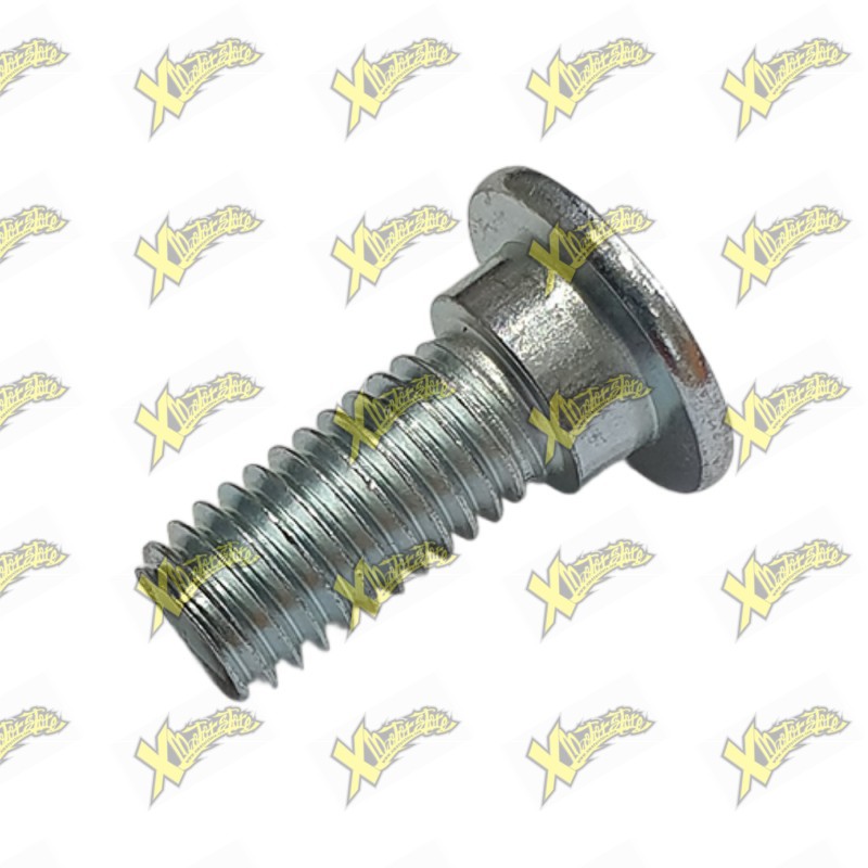 Ohvale Special fixing screw for brake disc 01.RA.0016.L