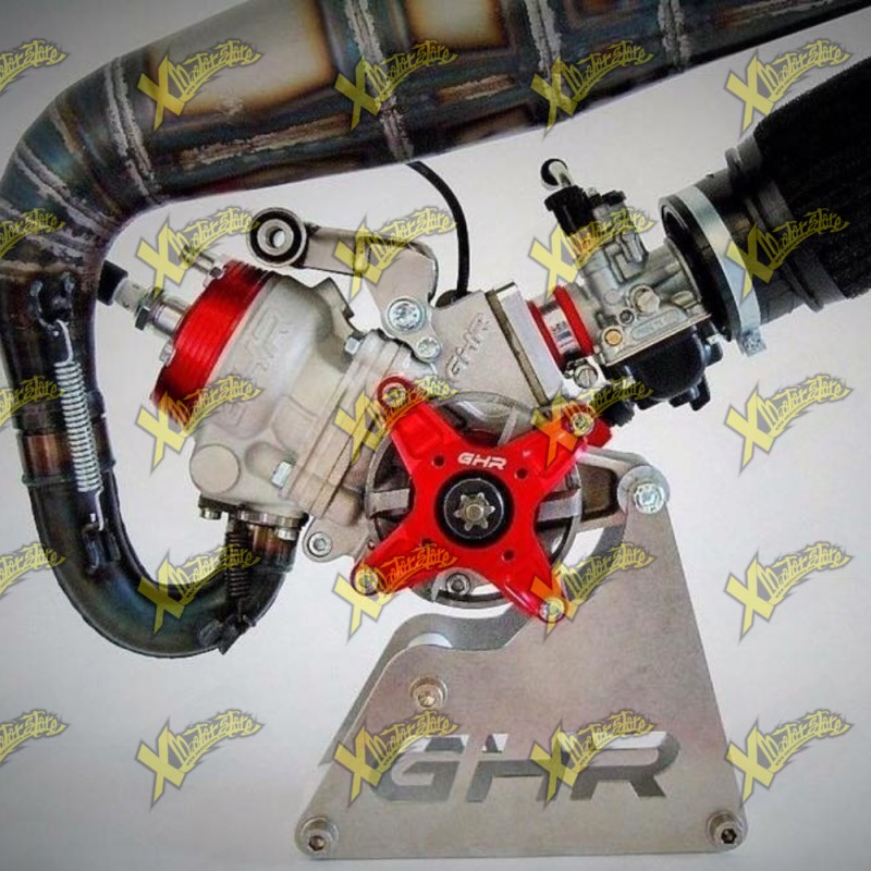 Motore minimoto Ghr completo gp1 h2o 50 factory racing